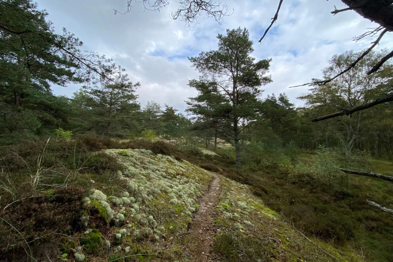 6 persoons vakantie huis in Læsø-By Traum-Niet-getagd