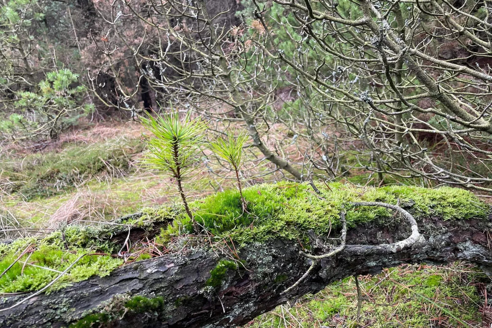 6 persoons vakantie huis in Thyholm-By Traum-Niet-getagd