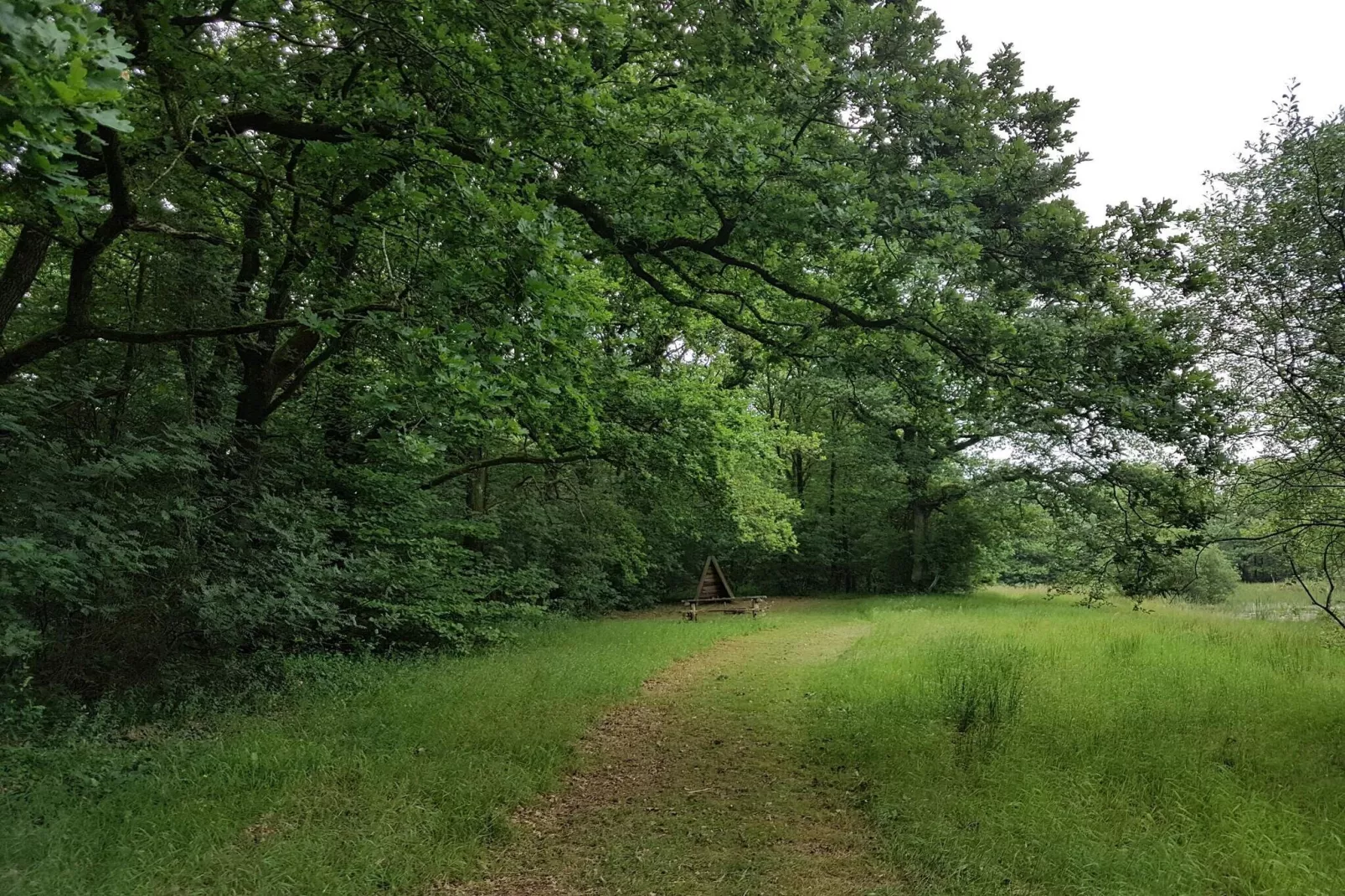 6 persoons vakantie huis in Toftlund-By Traum-Niet-getagd