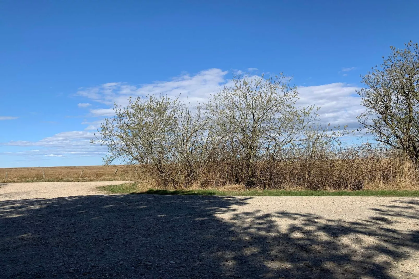 8 persoons vakantie huis in Hemmet-By Traum-Niet-getagd