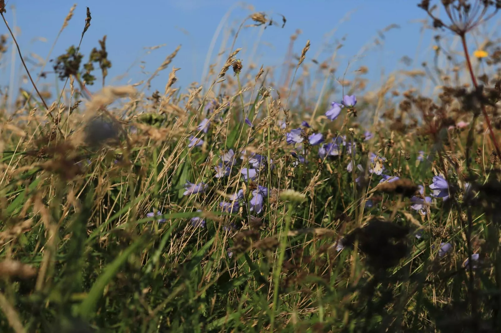 6 persoons vakantie huis in Vestervig-By Traum-Niet-getagd