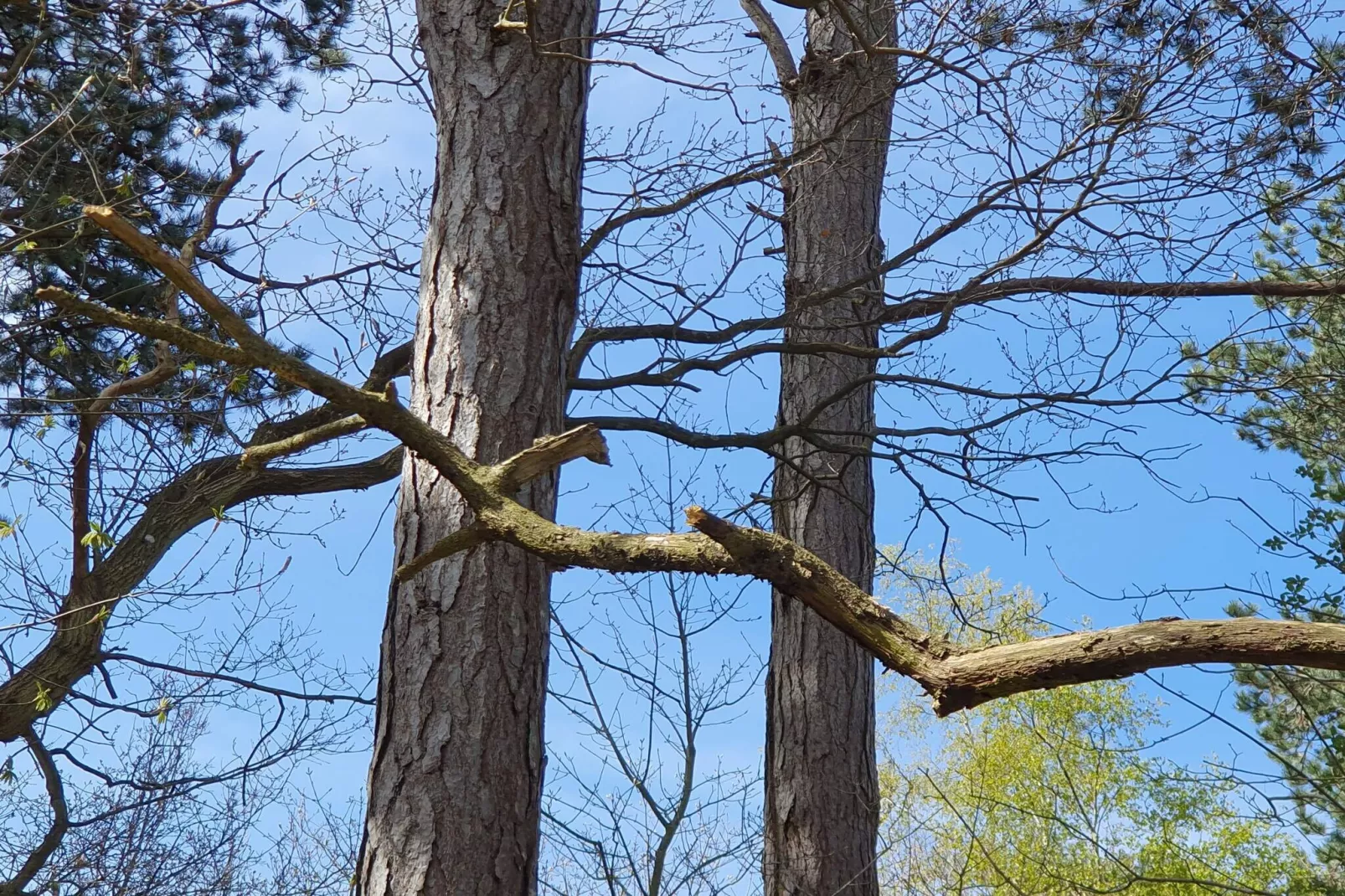 Modern toevluchtsoord bij strand -- By Traum Ferienwohnungen-Niet-getagd