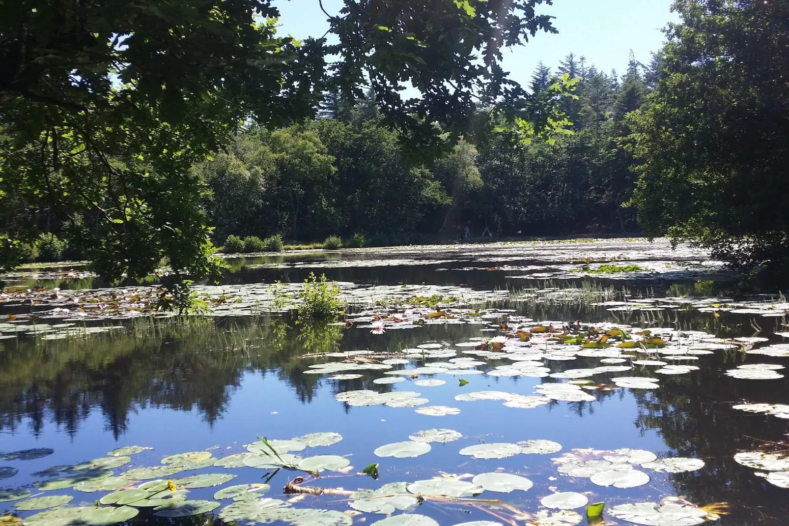 Idyllische strandhut -- By Traum Ferienwohnungen-Waterzicht