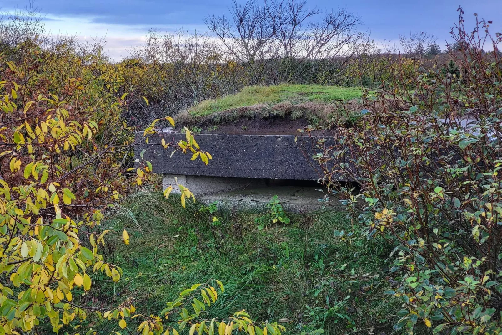 4 persoons vakantie huis in Skjern-By Traum-Niet-getagd
