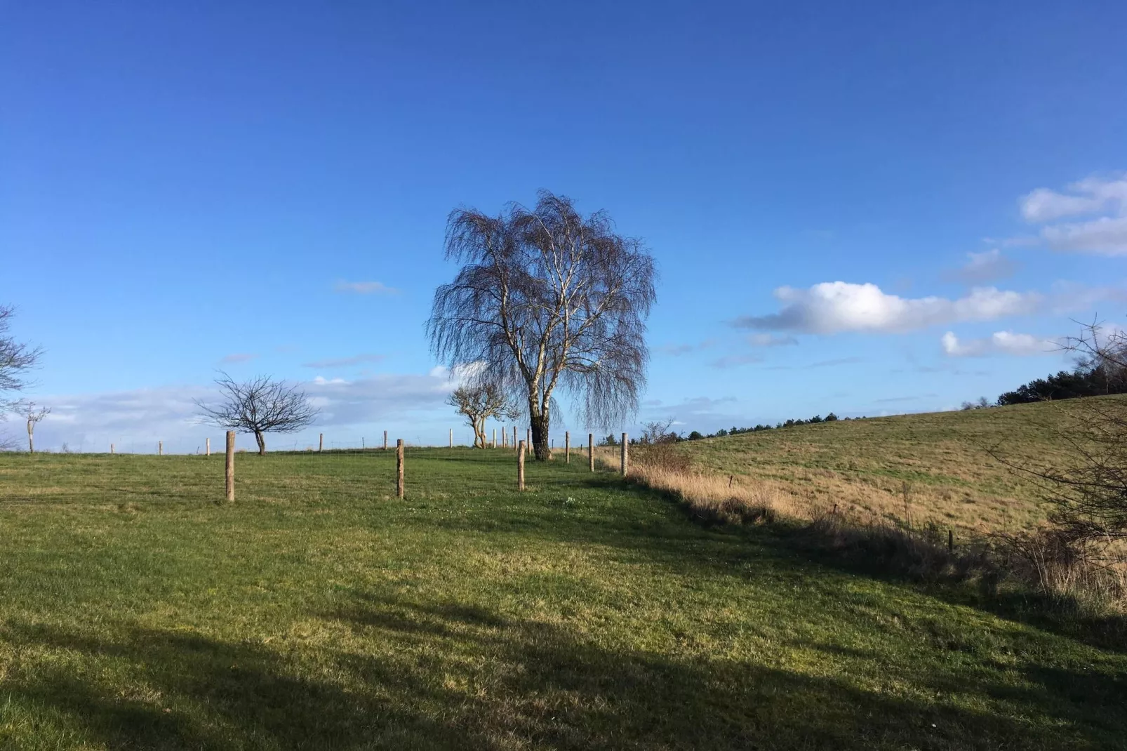 16 persoons vakantie huis in Vejby-Niet-getagd