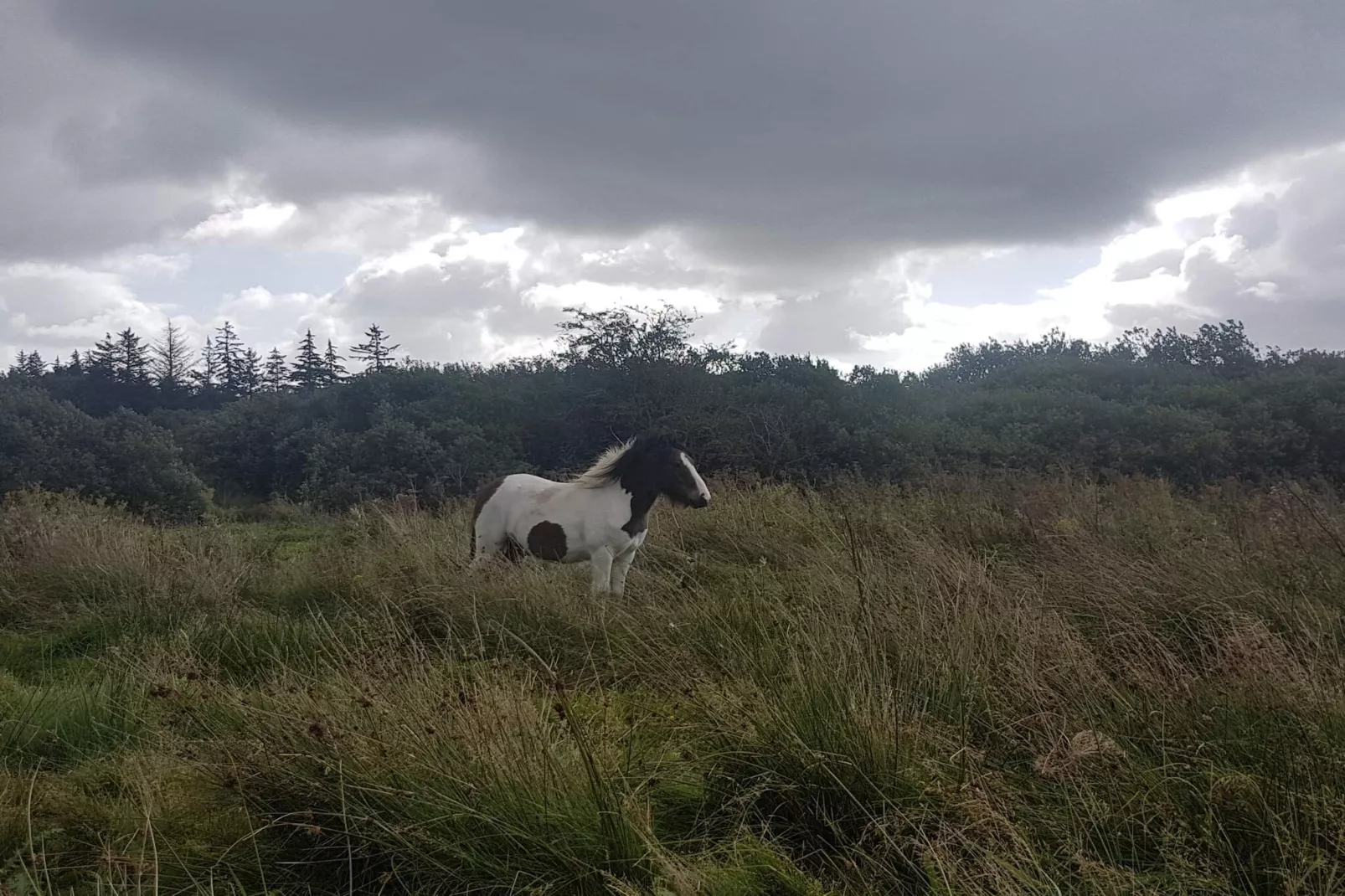 6 persoons vakantie huis in Fjerritslev-By Traum-Niet-getagd