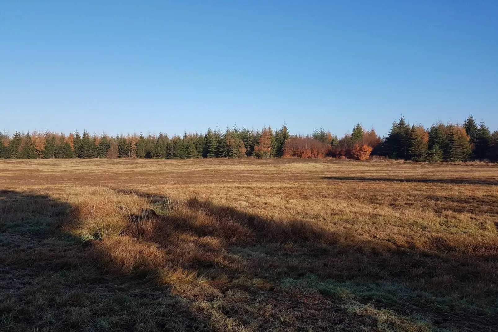 4 persoons vakantie huis in Toftlund-By Traum-Niet-getagd