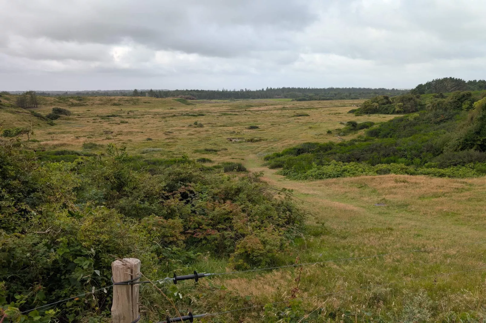 8 persoons vakantie huis in Saltum-By Traum-Niet-getagd