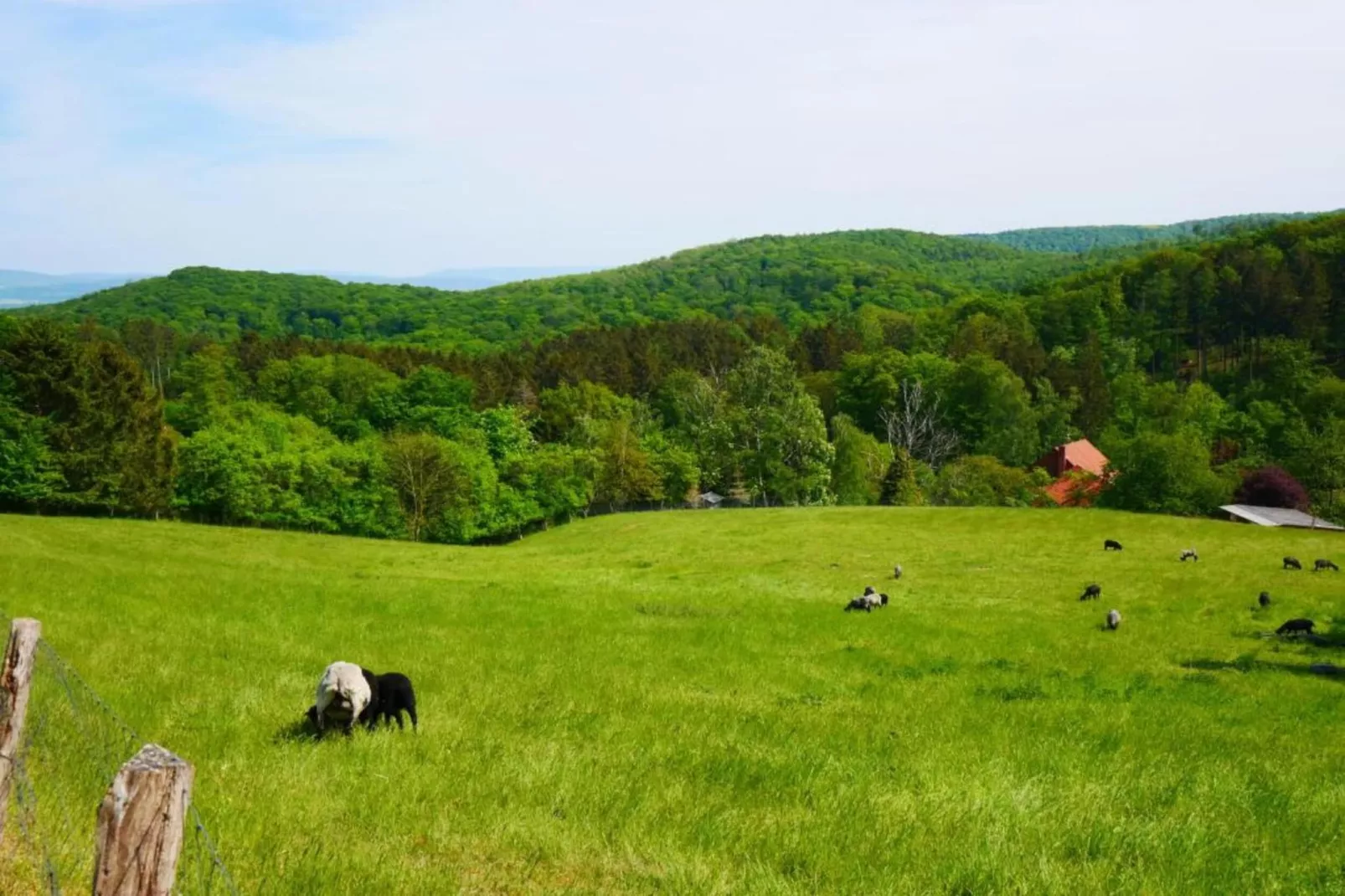Weserbergland - Bad Pyrmont-Gebieden zomer 20km