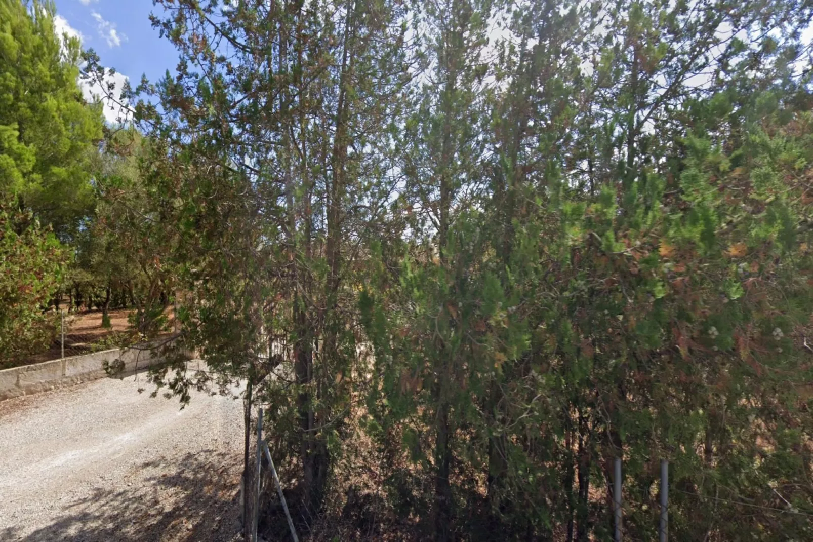 Can Serra-Gebieden zomer 5km