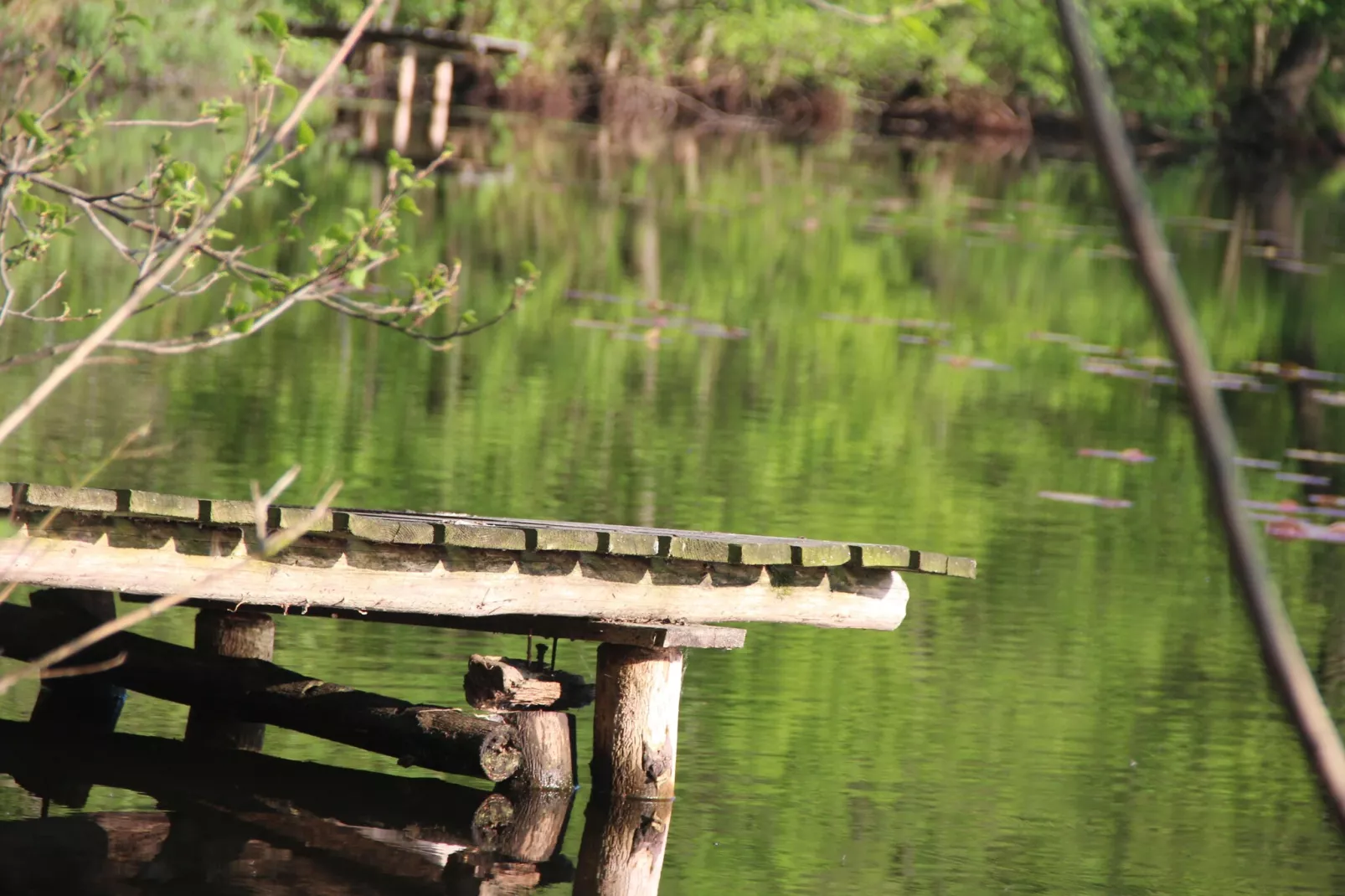 Holiday flat in Kolczewo70 qm for 6 persons-Gebieden zomer 1km