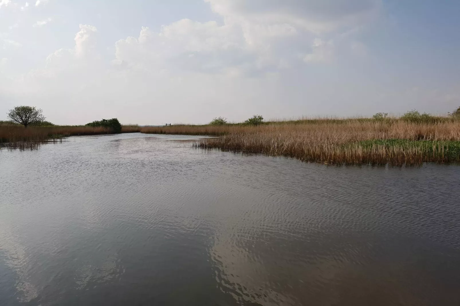 Idyllisch natuurlijk toevluchtsoord -- By Traum Ferienwohnungen-Waterzicht