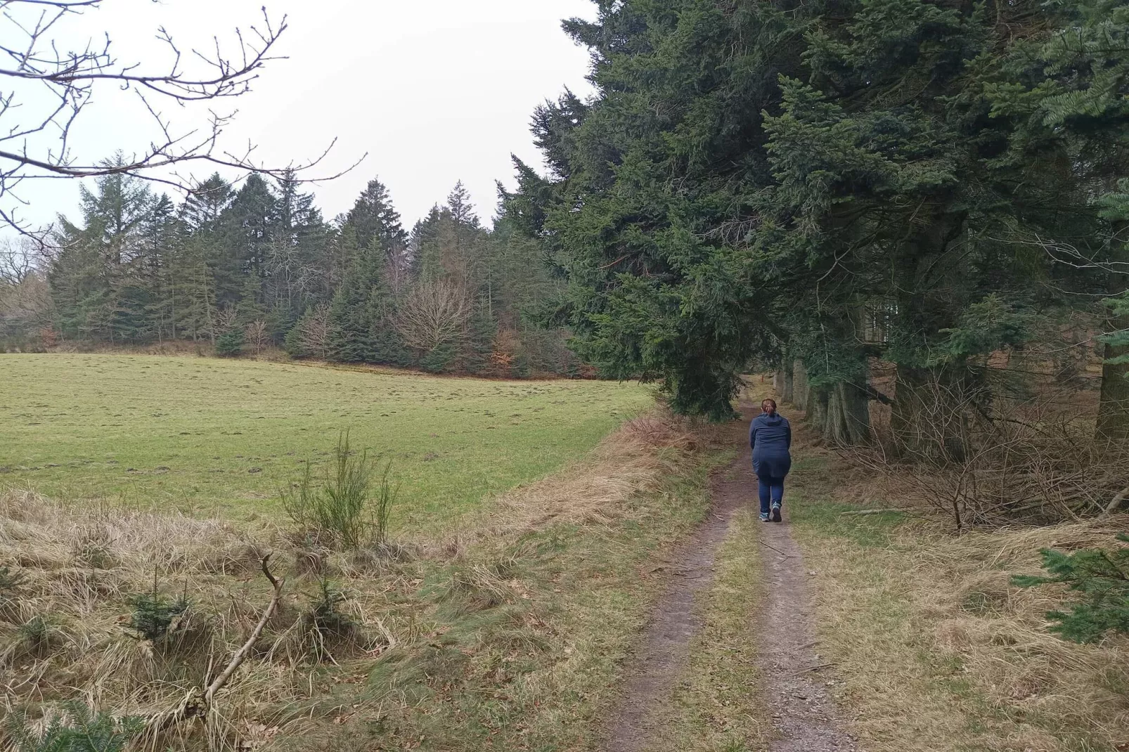 6 persoons vakantie huis in Glesborg-Niet-getagd