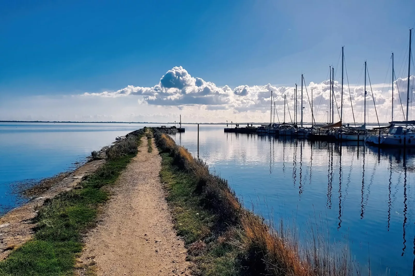 FeWo Sturmeck 67 qm Typ P5 1 OG-Gebieden zomer 1km