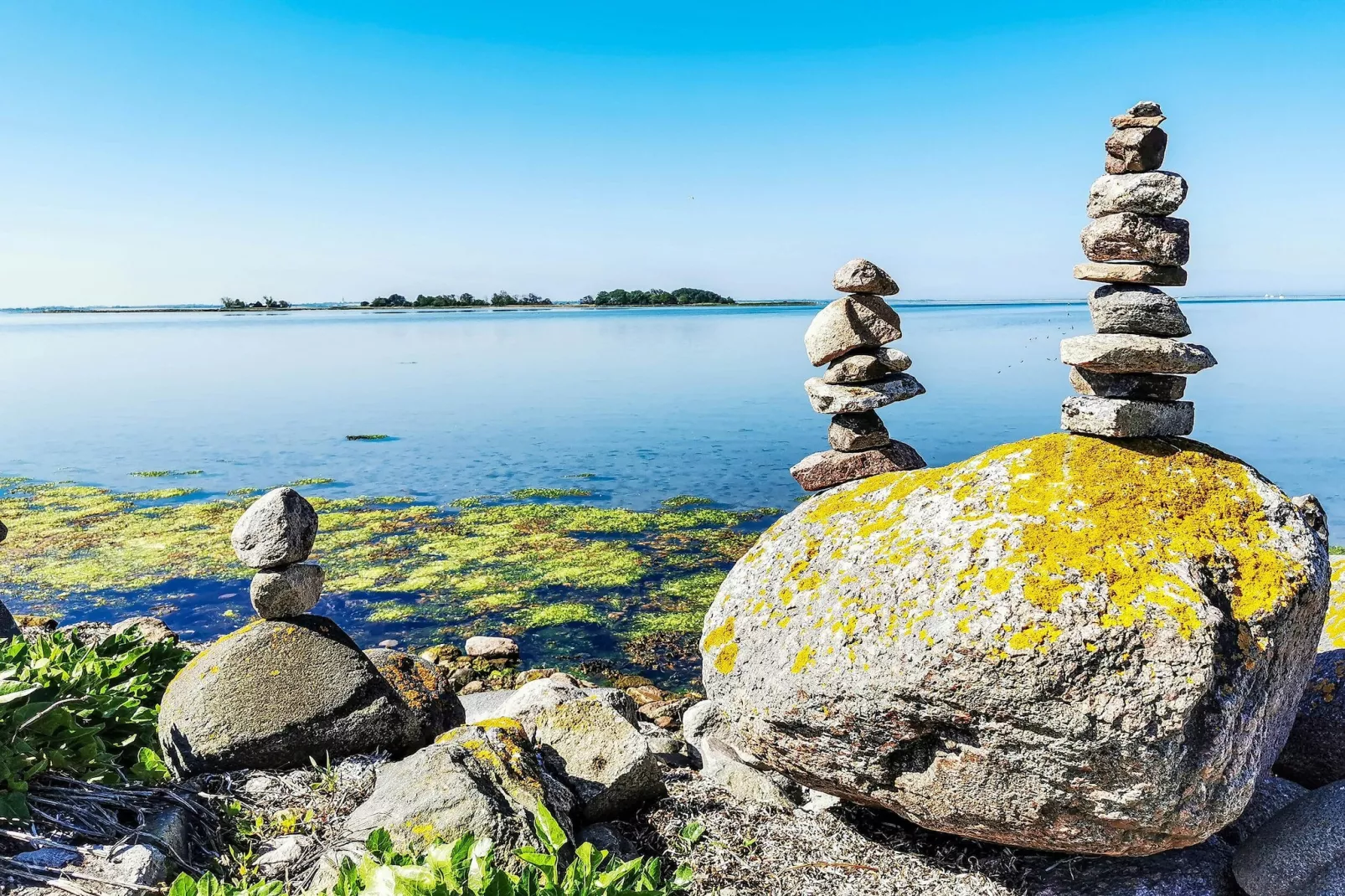 FeWo Lemk 16 1 OG-Gebieden zomer 1km