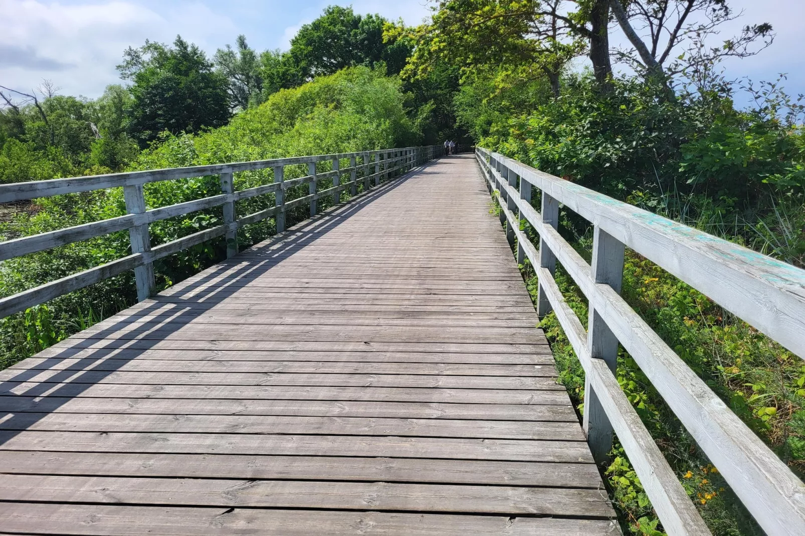 Domki wakacyjne w Gąskach-Gebieden zomer 1km