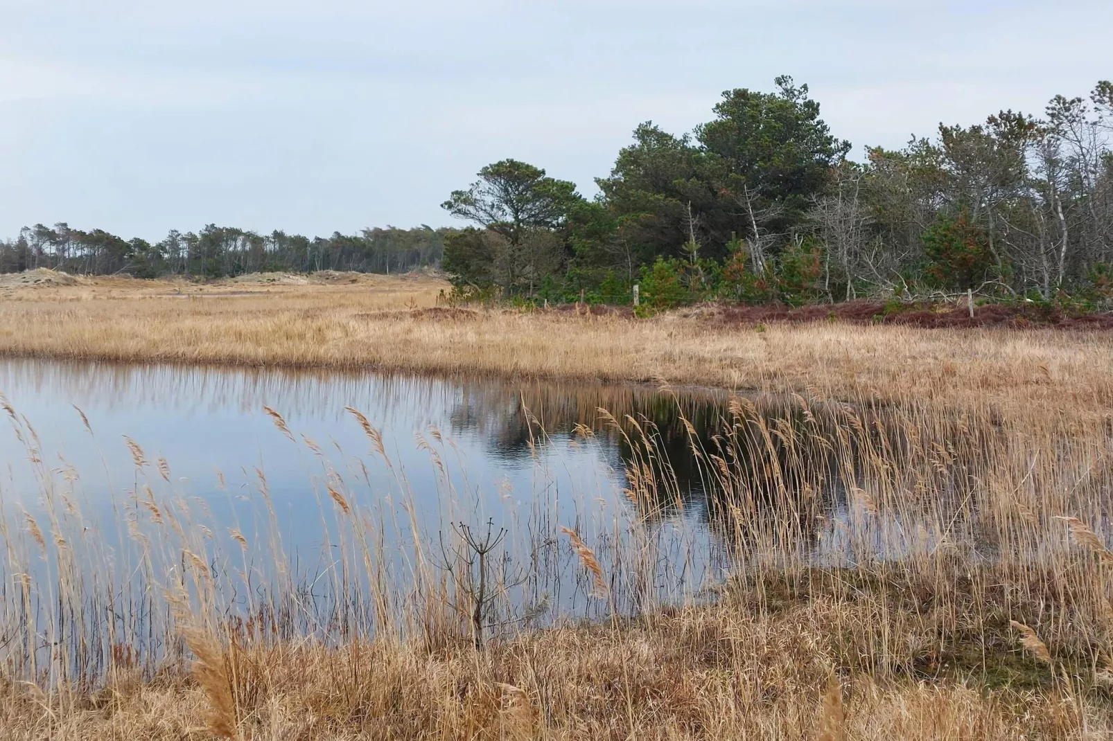 4 persoons vakantie huis in Frøstrup-Waterzicht