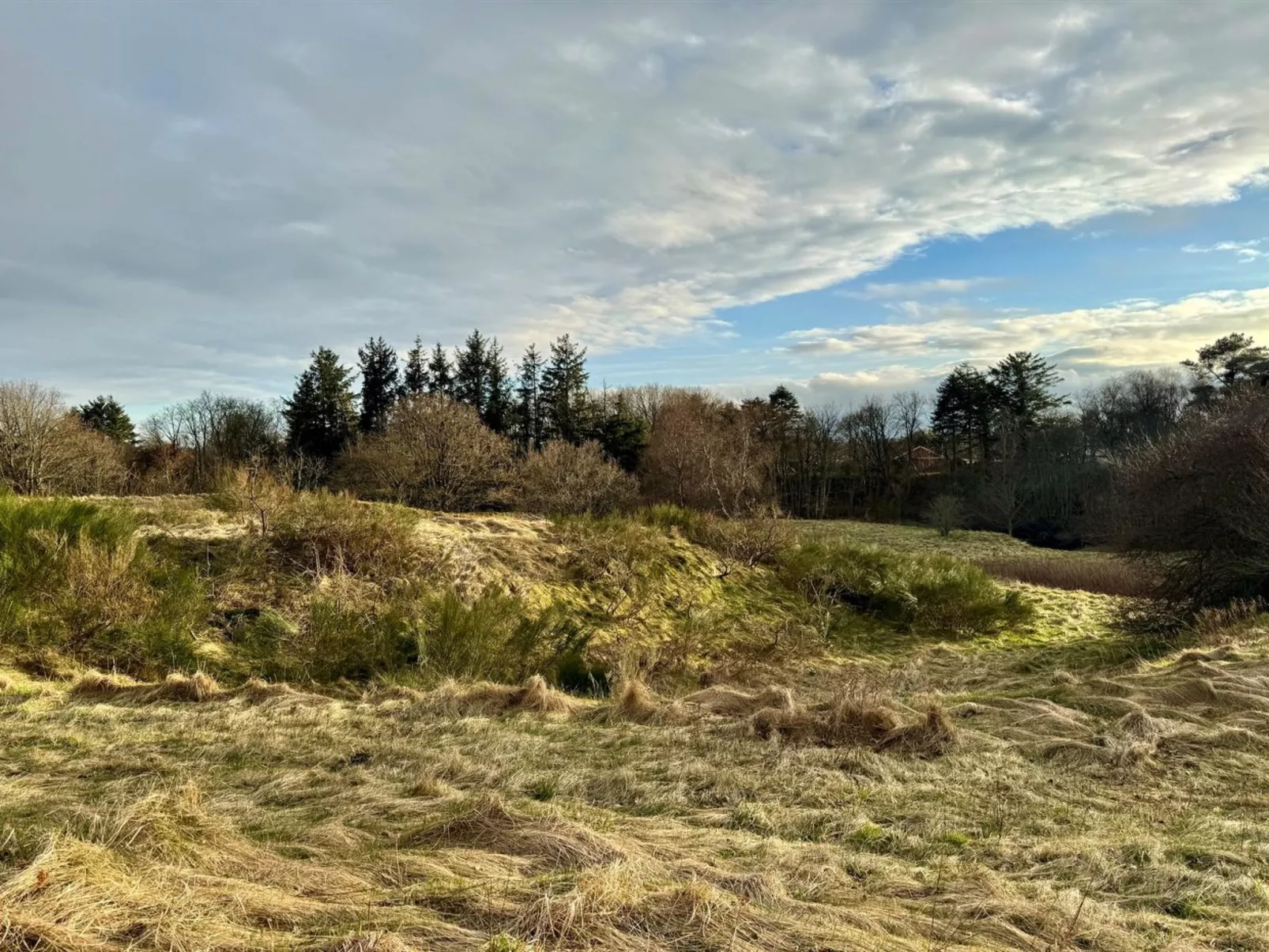 "Skammel" - 900m from the sea-Buiten