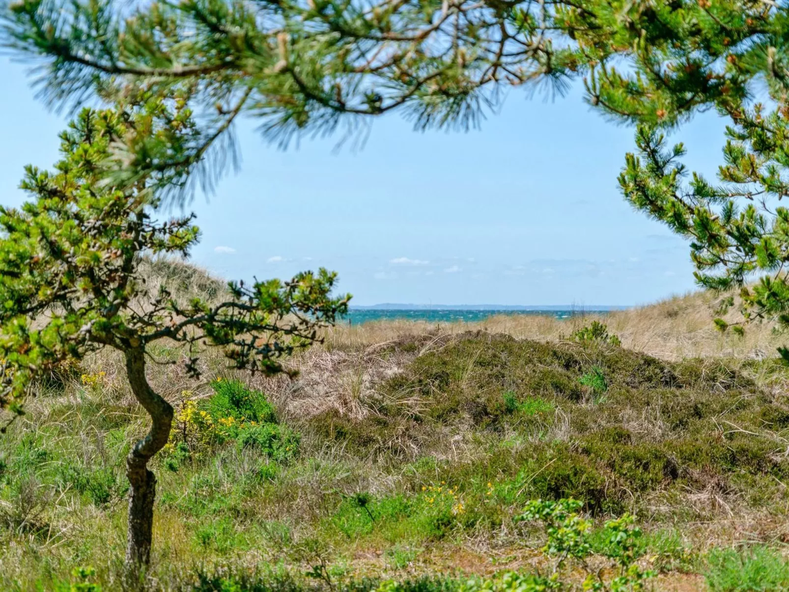 "Petersen" - 50m from the sea-Buiten