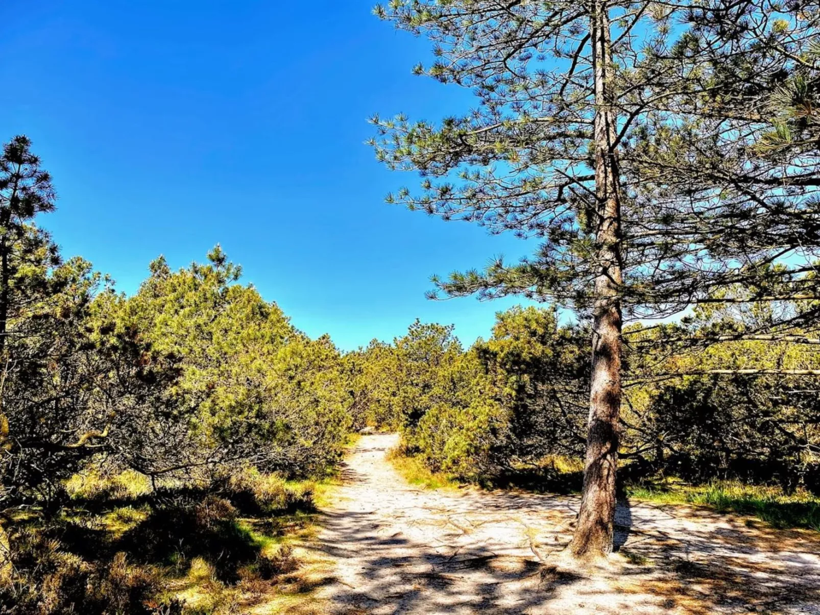 "Neia" - 640m from the sea-Binnen