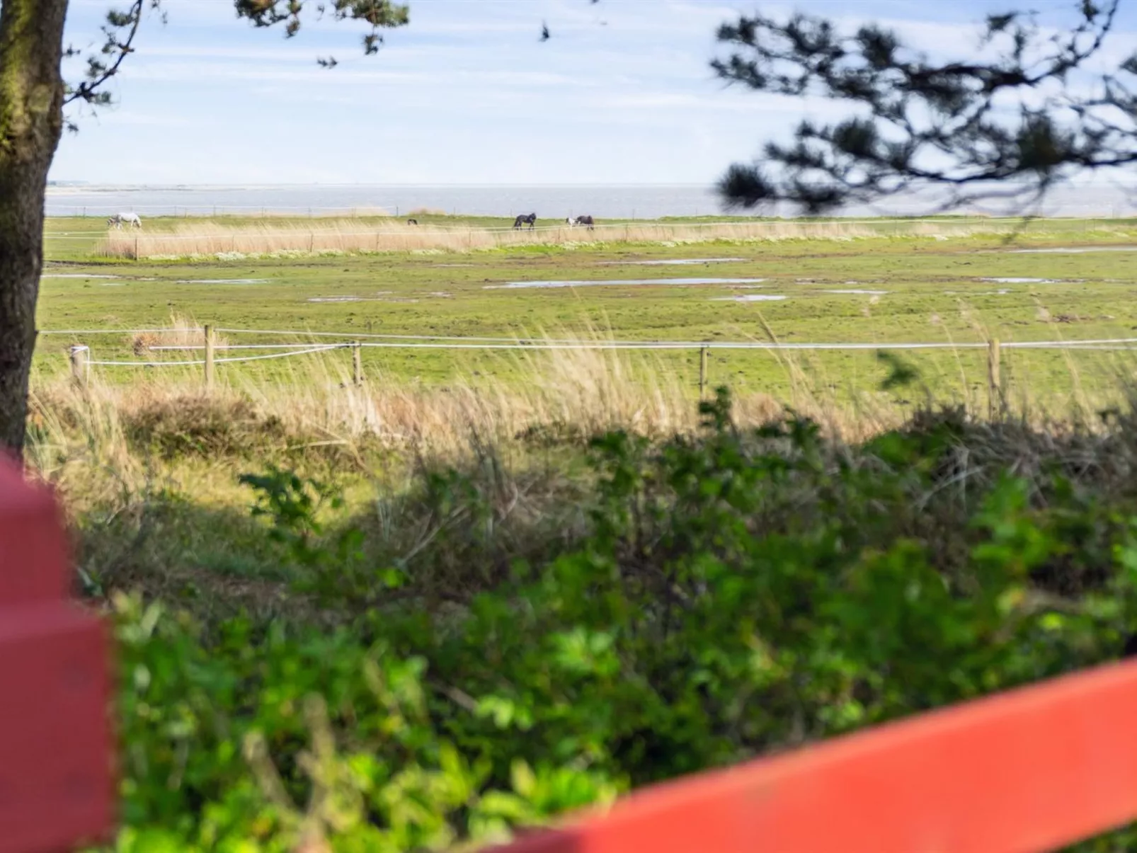 "Sedine" - 3.9km from the sea-Buiten