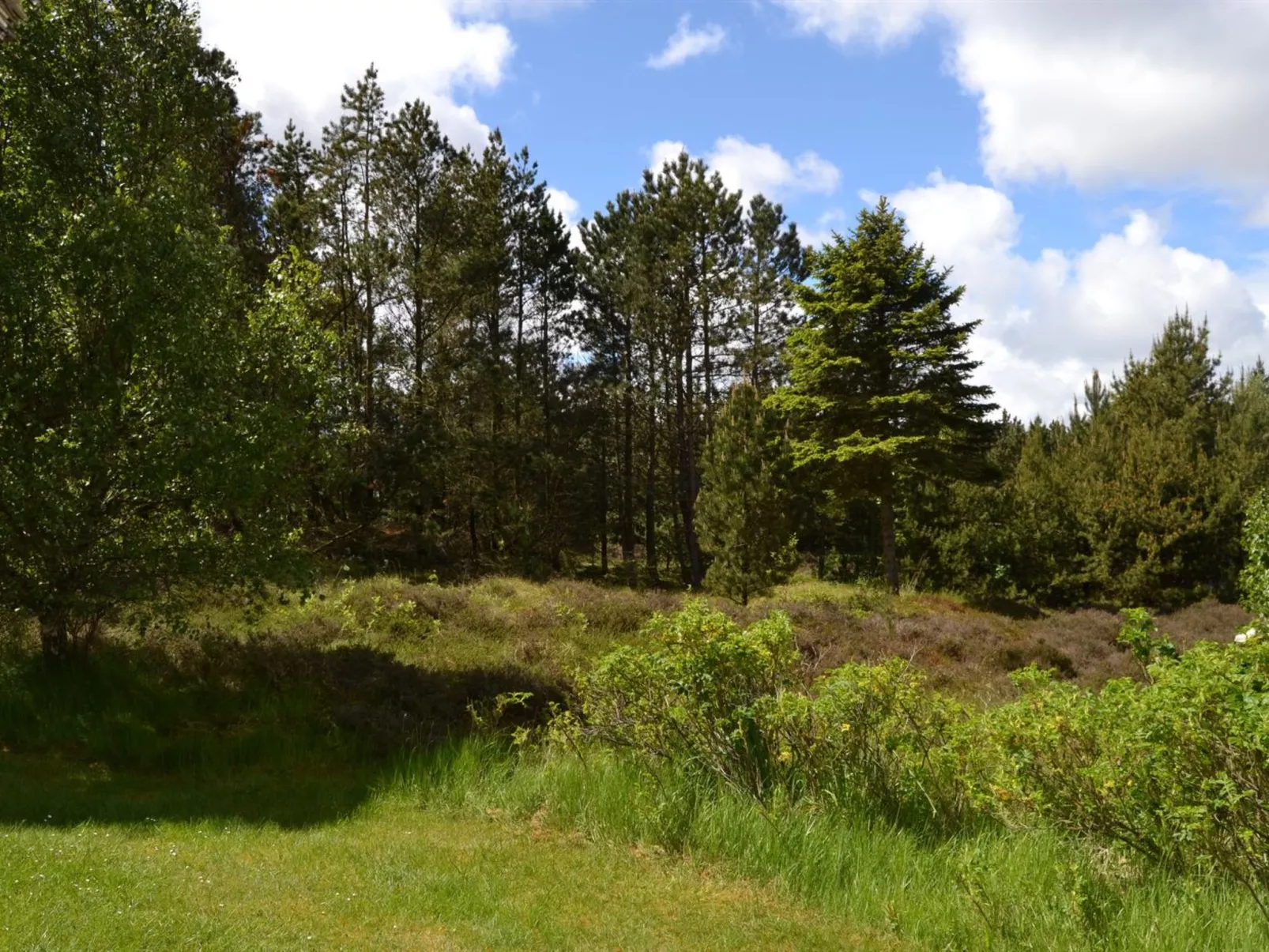 "Emilla" - 3.8km from the sea-Buiten