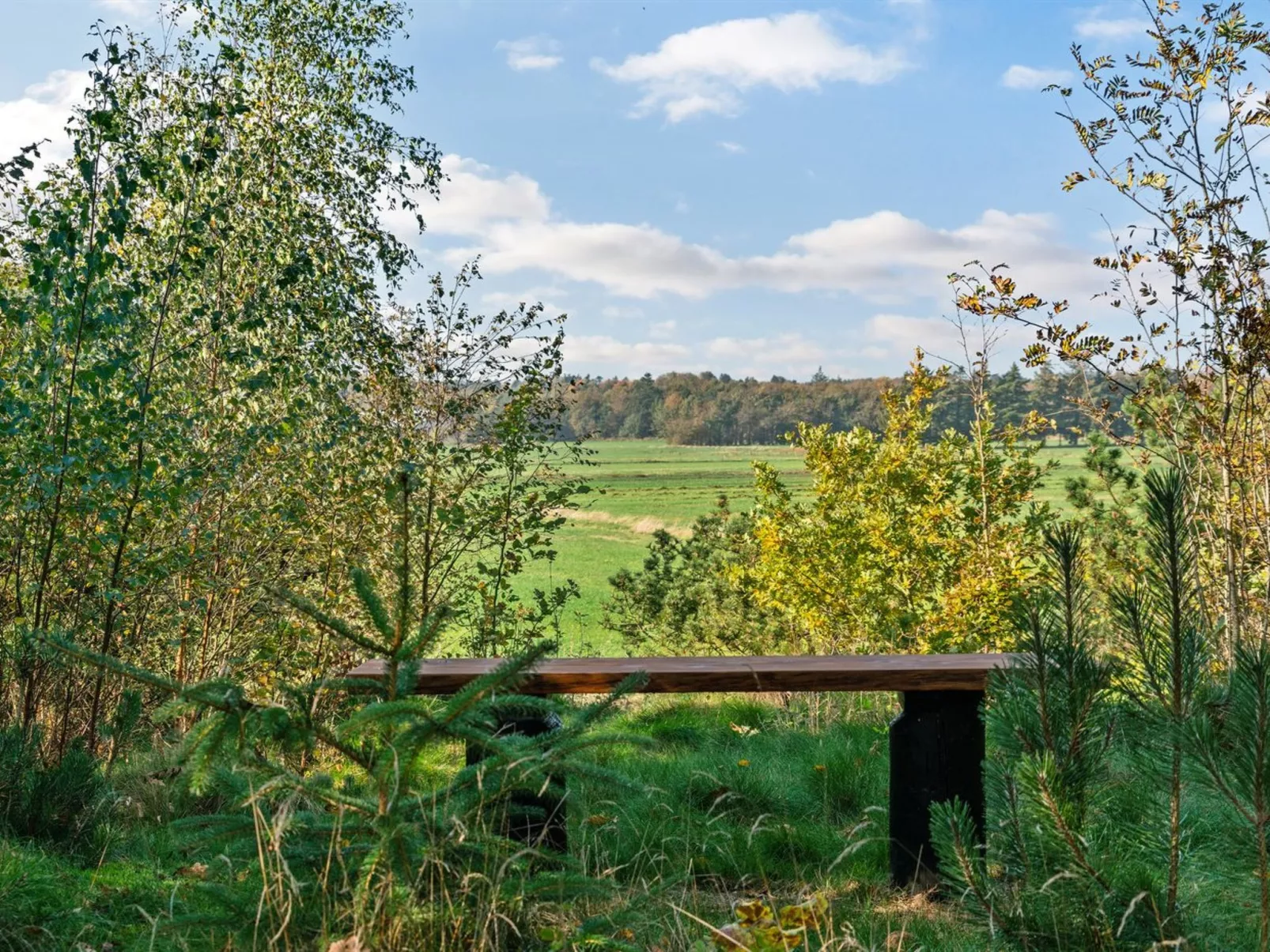 "Mourits" - 1.2km from the sea-Buiten