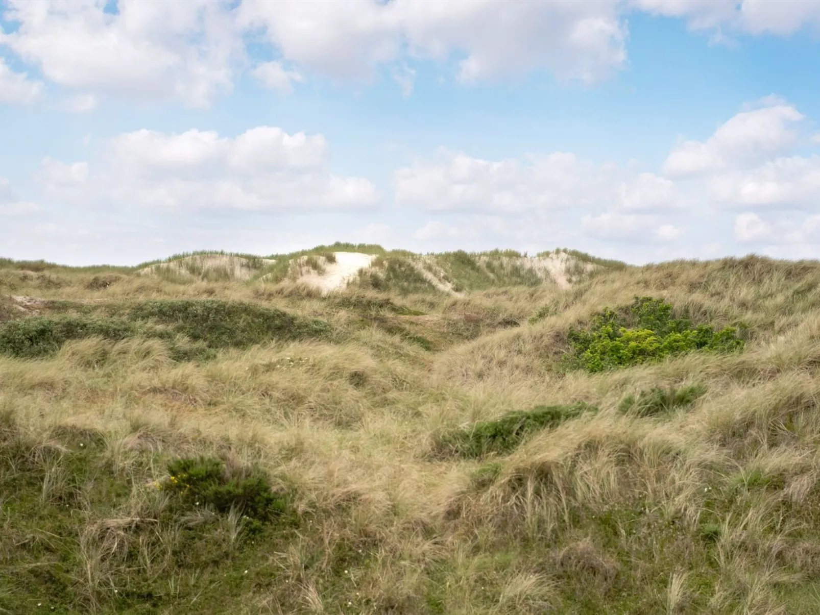 "Thrond" - 200m from the sea-Buiten