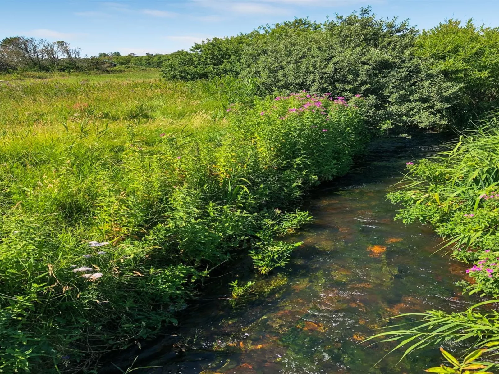 "Lökea" - 800m from the sea-Buiten