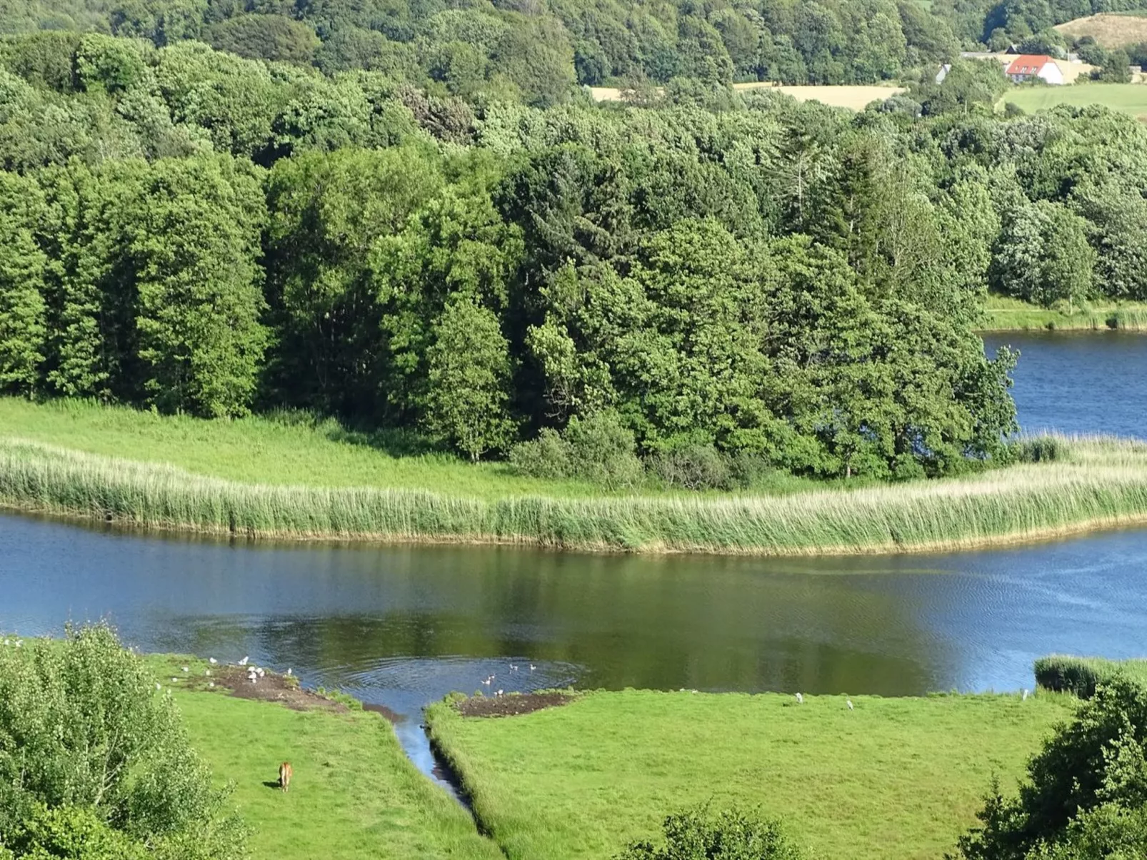 "Veselin" - 100m from the sea-Buiten