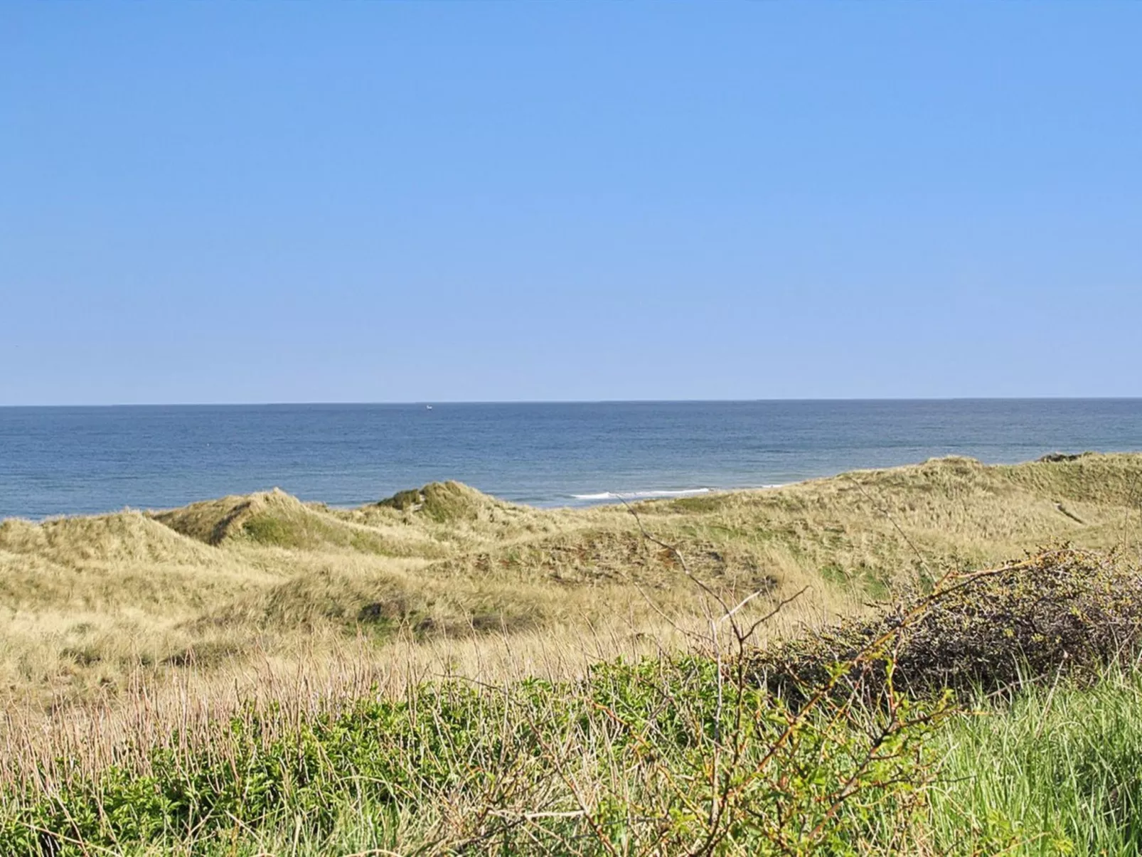 "Mafalda" - 260m from the sea-Buiten