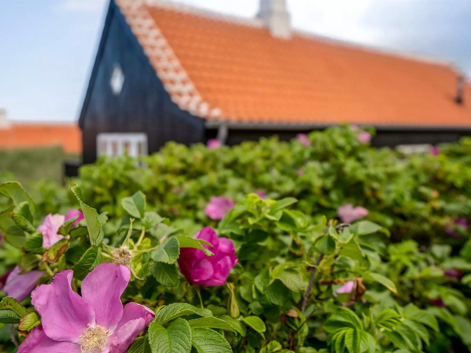 "Armina" - 75m from the sea-Buiten