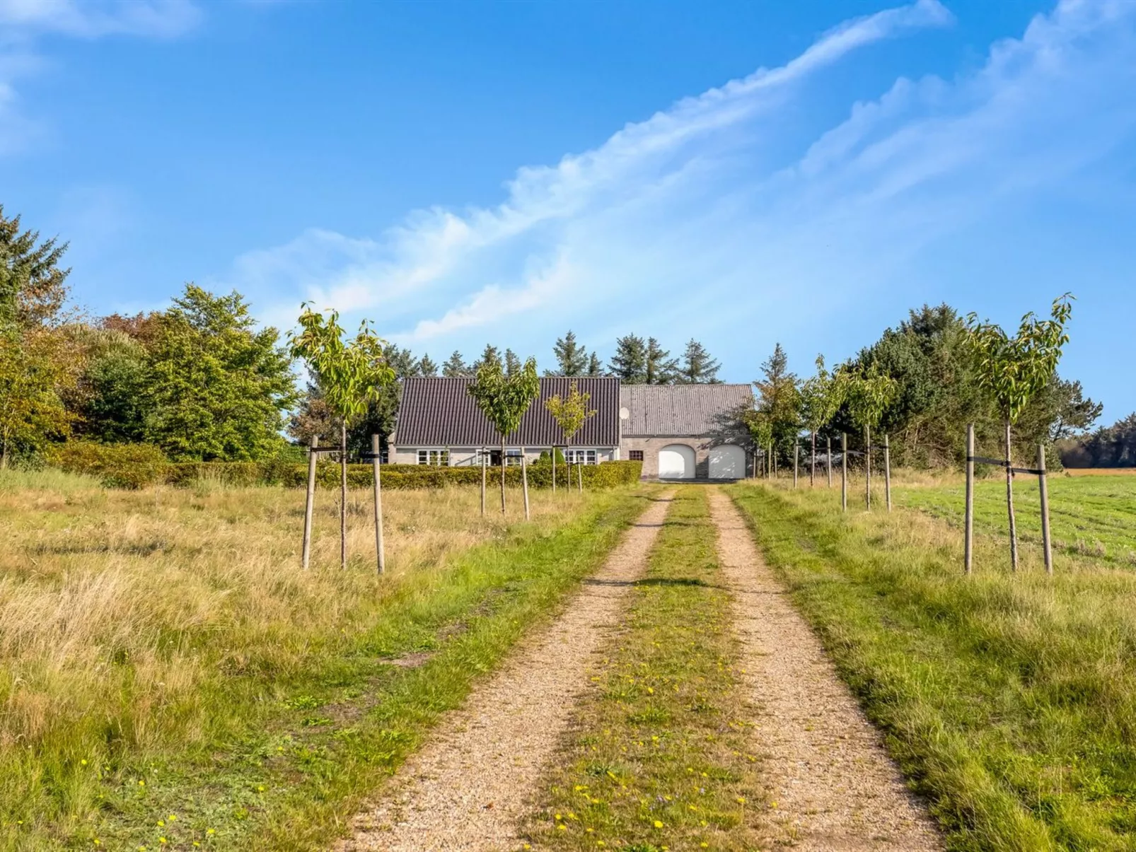 "Merrit" - 4.6km to the fjord-Buiten