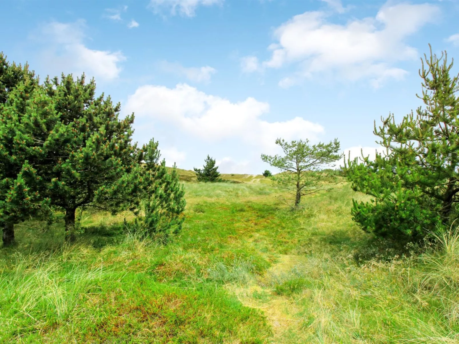 "Juste" - 2.2km from the sea-Buiten