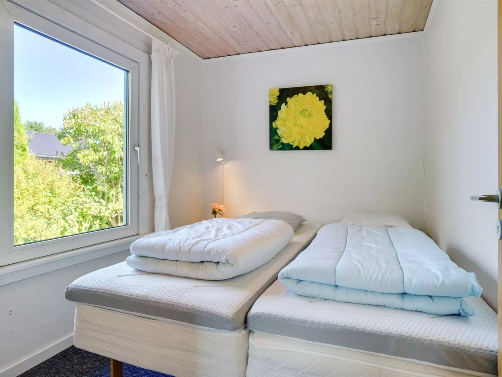 "Savina" -  from the sea-Binnen