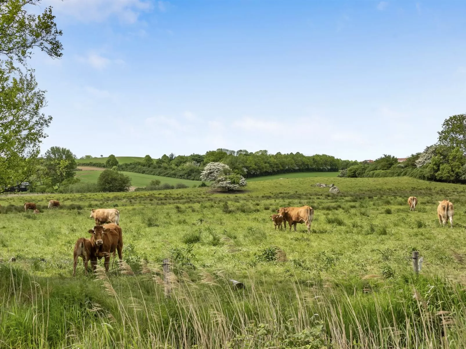 "Sigbritt" - 100m from the sea-Buiten