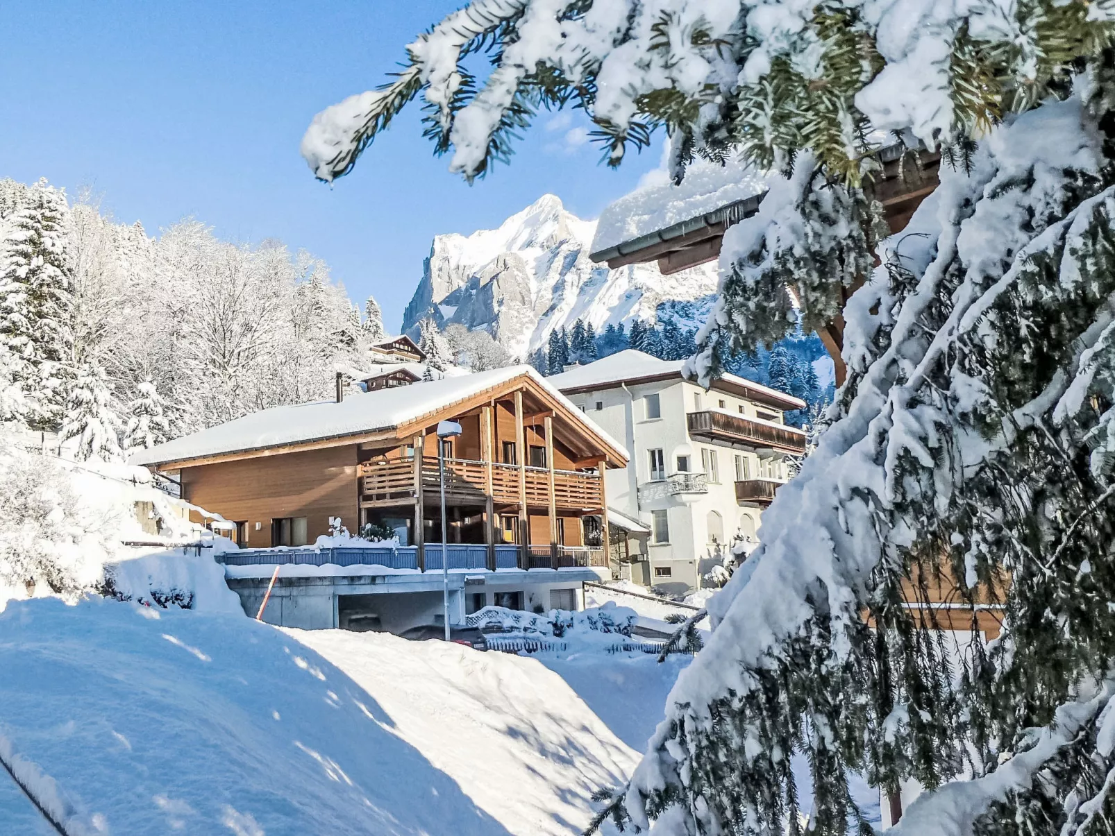 Chalet La Muntaniala-Buiten