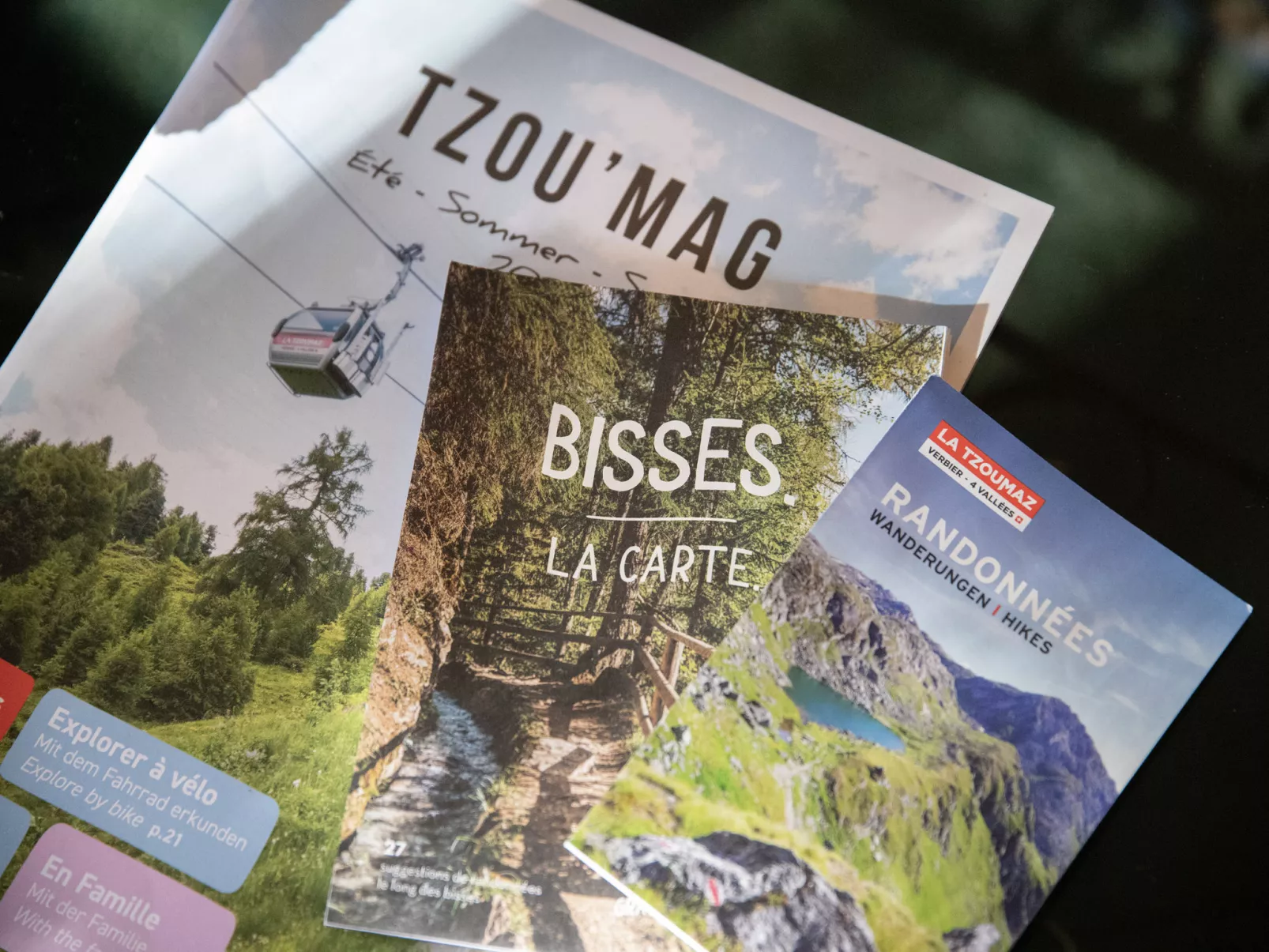 Chalet Chante Neige-Binnen