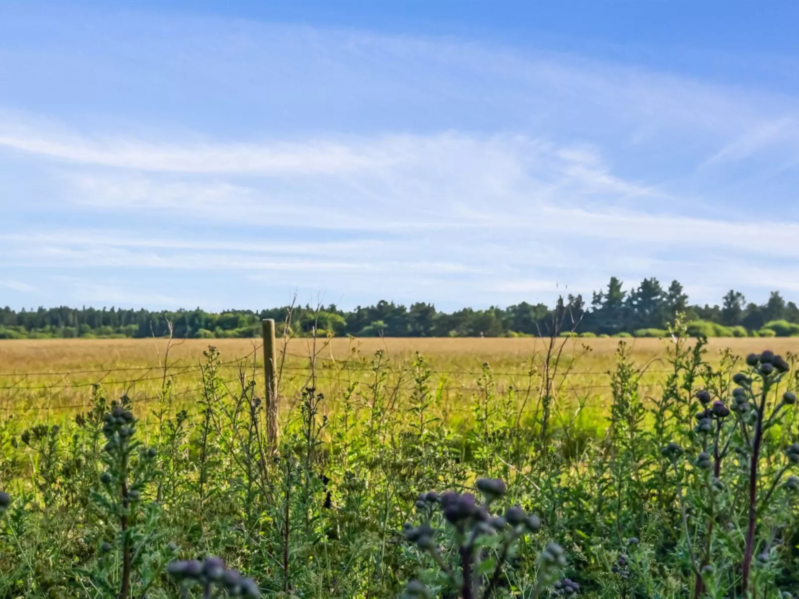 "Elsia" - 1.5km to the fjord-Buiten