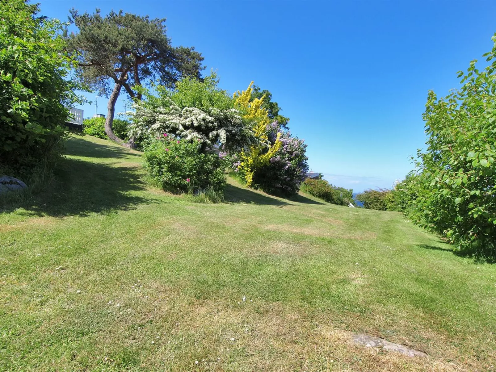 "Jolanda" - 800m from the sea-Buiten