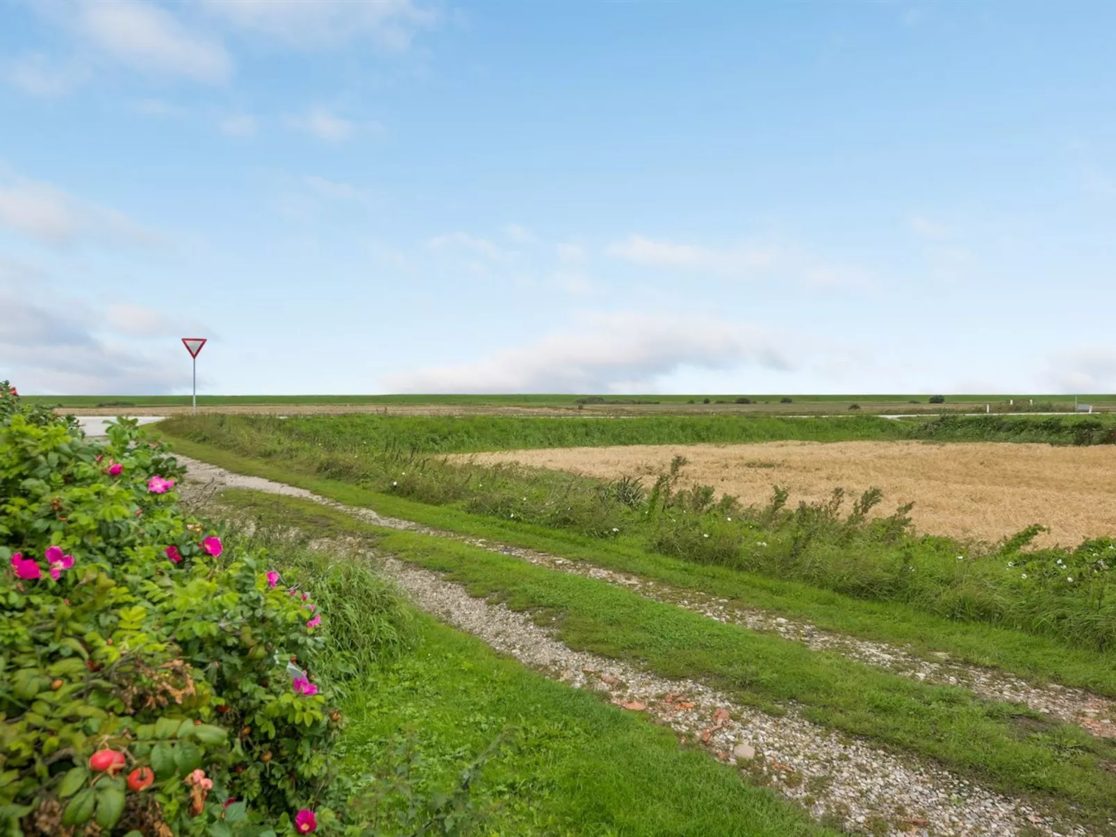 "Clausina" - 600m from the sea-Buiten