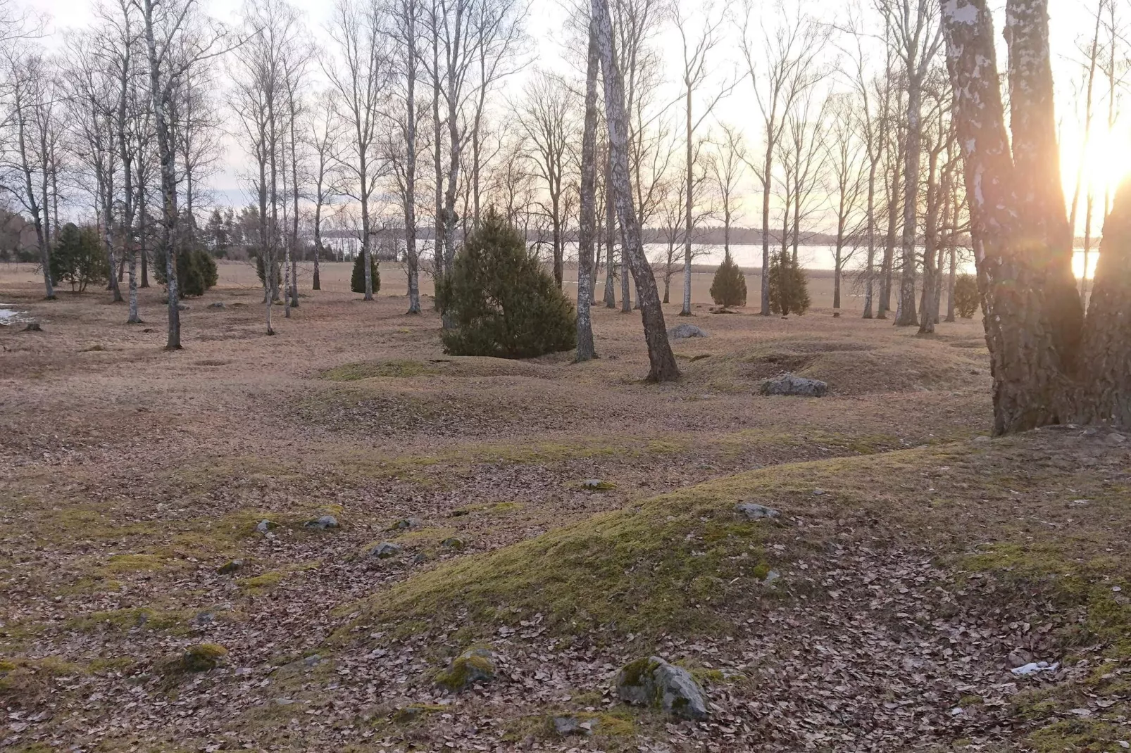 6 persoons vakantie huis in HAMMARÖ-By Traum-Niet-getagd