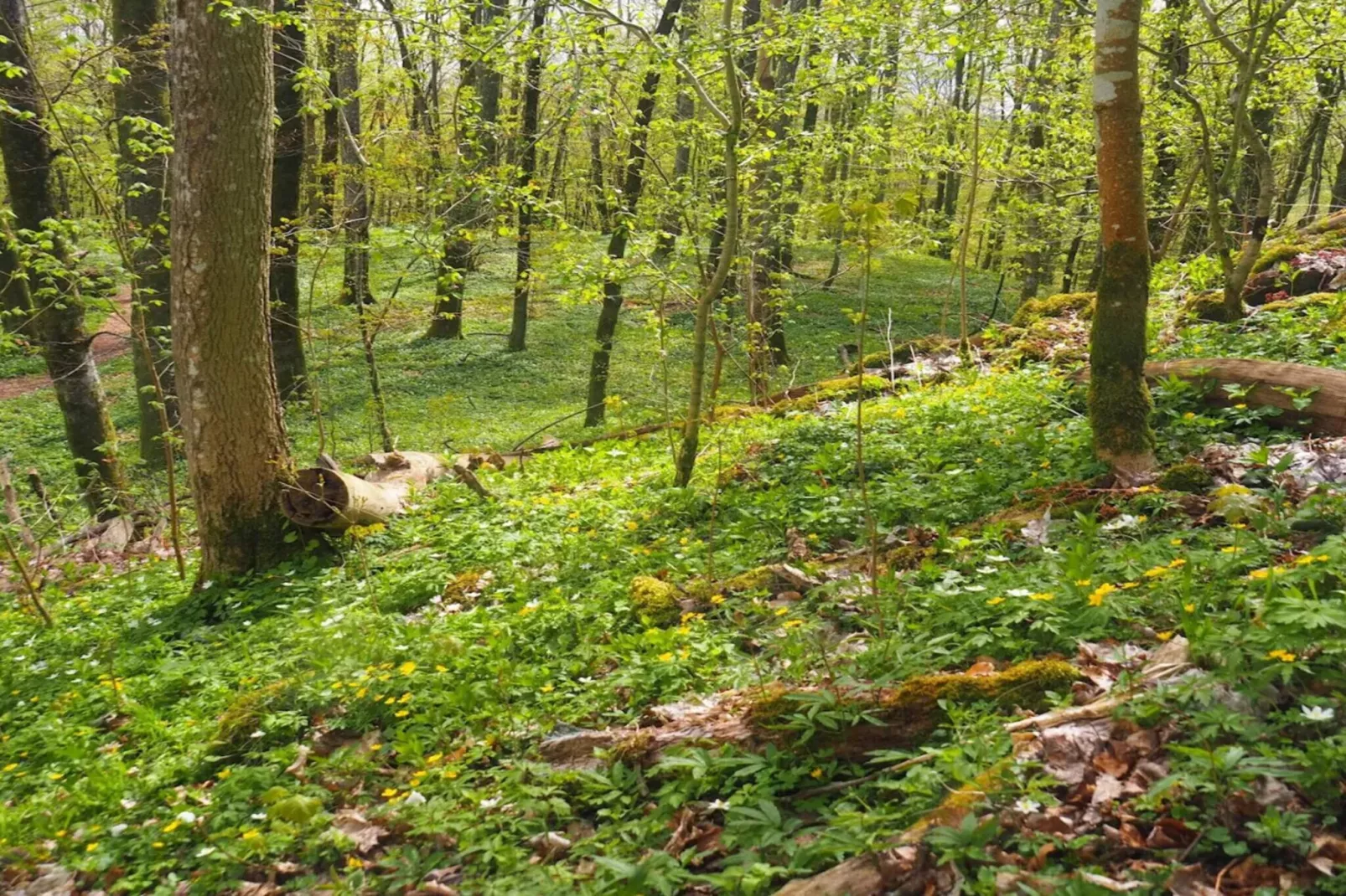 9 persoons vakantie huis in Ljungbyhed-By Traum-Niet-getagd