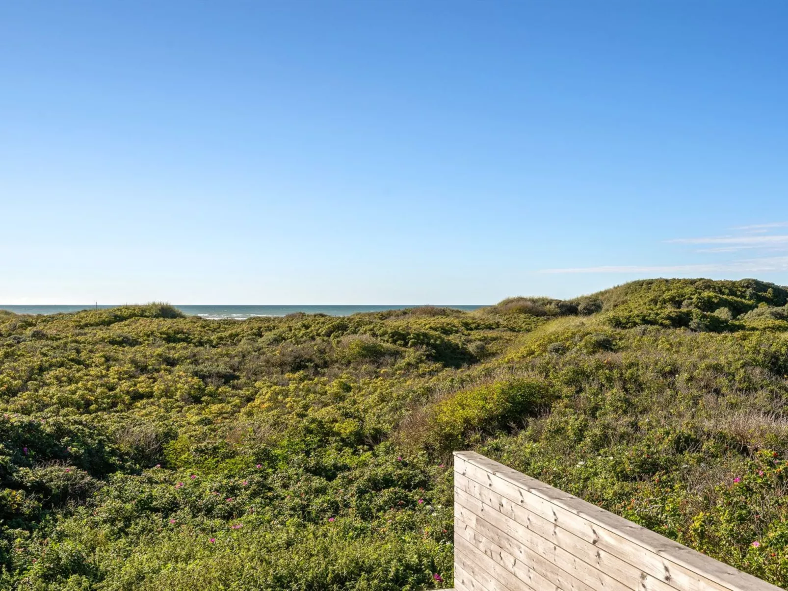 "Rauli" - 50m from the sea-Buiten