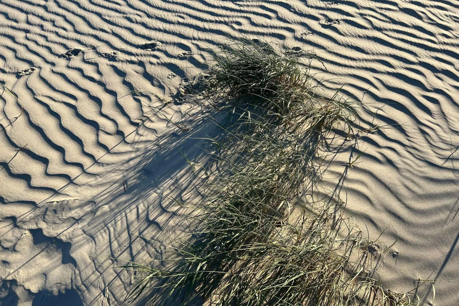 6 persoons vakantie huis in Fanø-By Traum-Niet-getagd