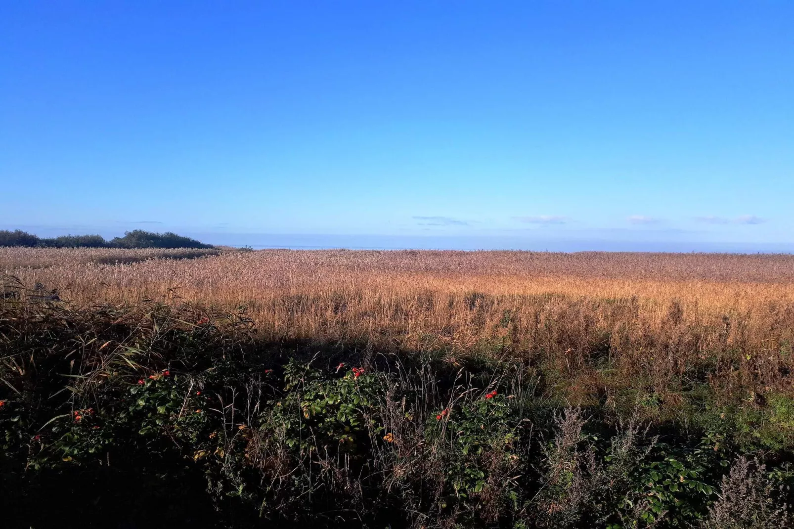 5 persoons vakantie huis in Skjern-By Traum