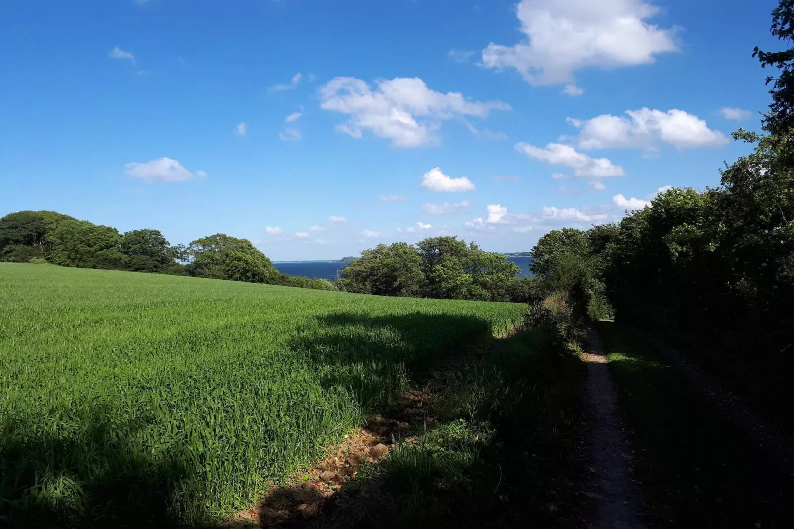 8 persoons vakantie huis in Aabenraa-By Traum-Niet-getagd