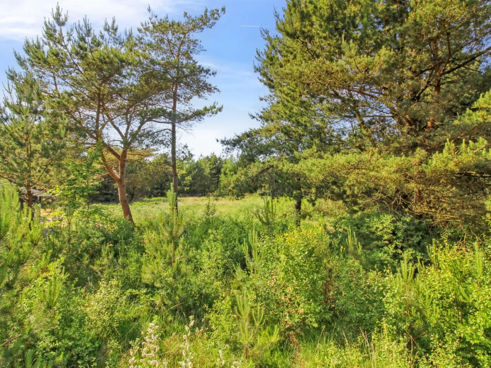 "Arlett" - 950m from the sea-Buiten