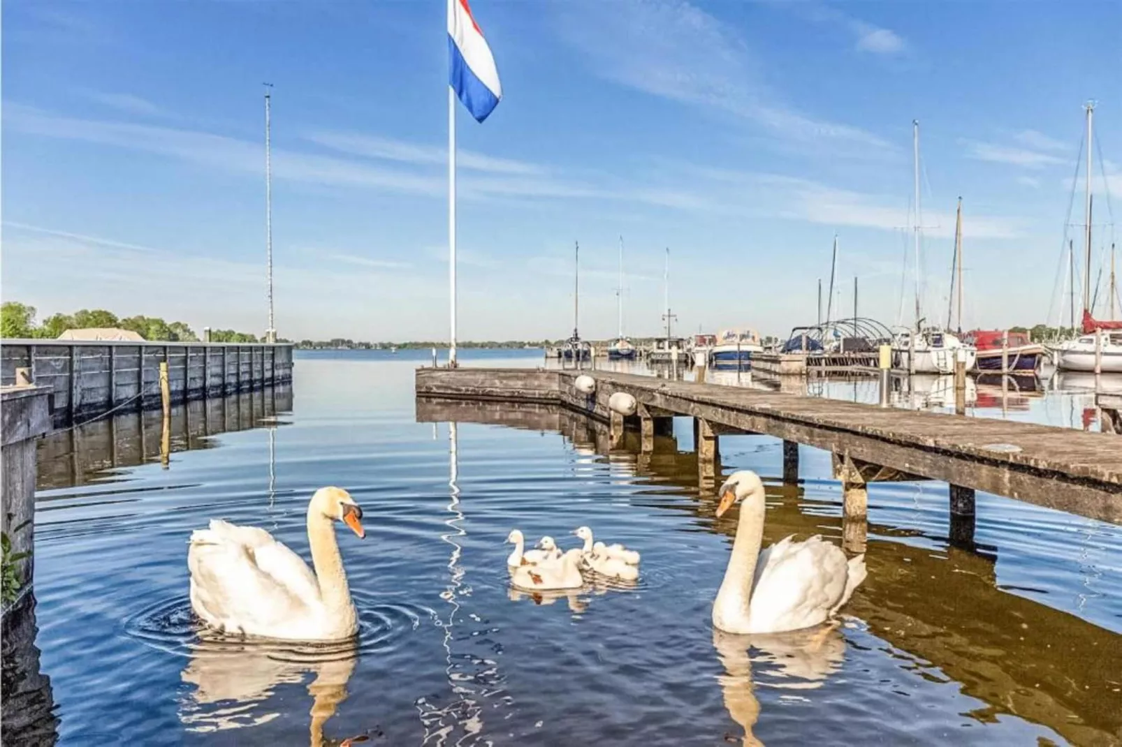 MarinaPark Nieuw Loosdrecht 2-Gebieden zomer 20km