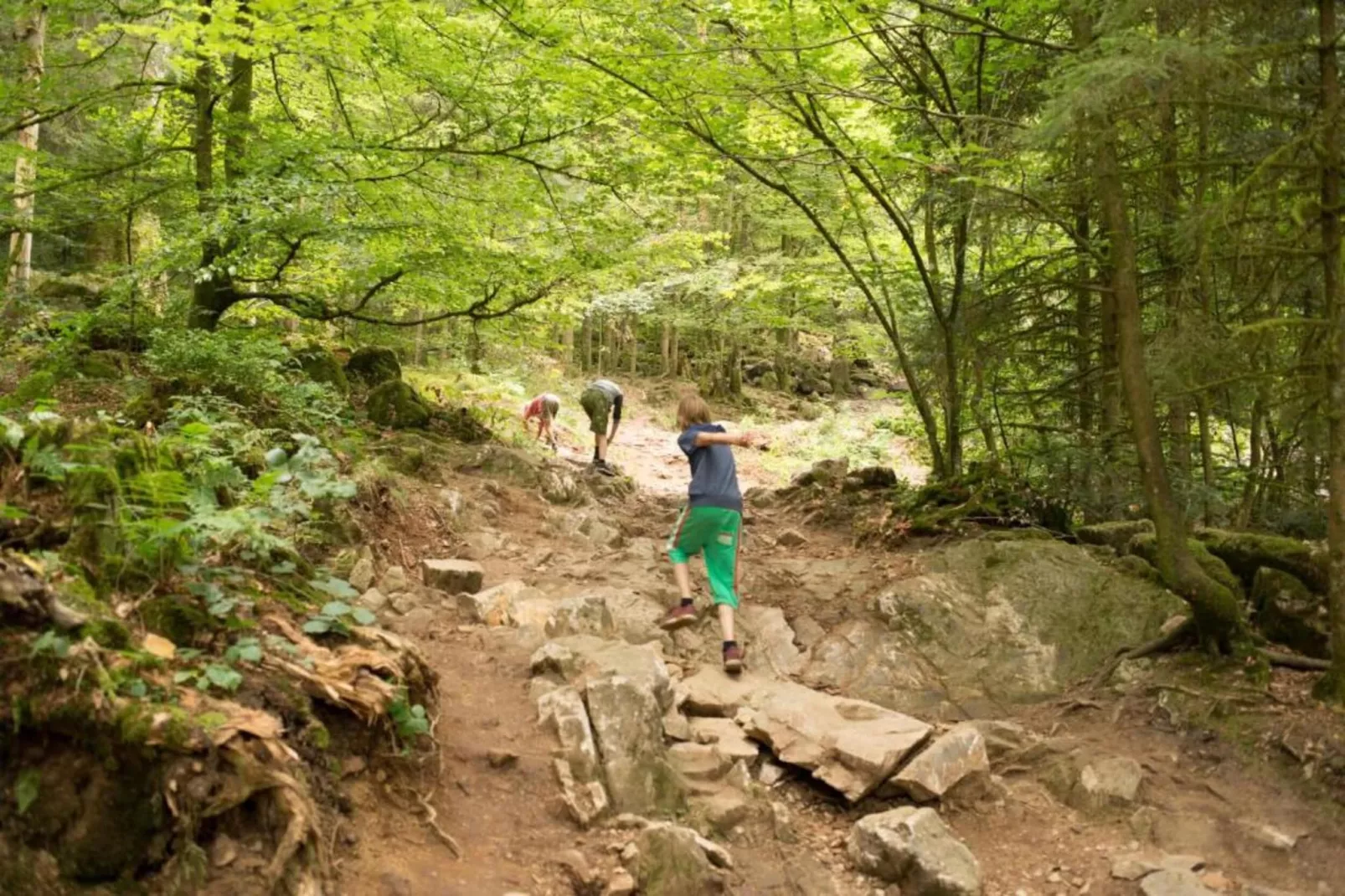 Domaine Des Messires 2-Gebieden zomer 5km